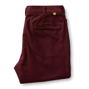 Classic Fit Gold School Chino - Port Royale