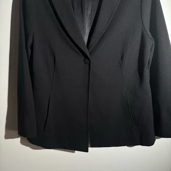 Eileen Fisher Single Button Blazer In Black M