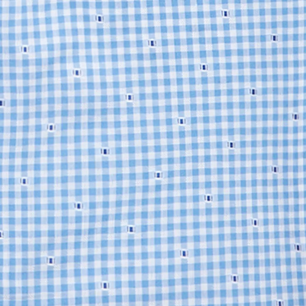 Gingham Pindot Print - Blue