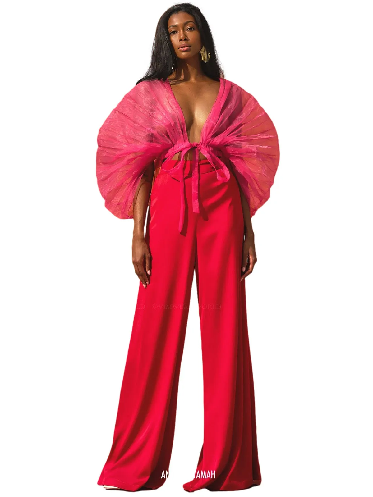 Hibi Pleated Organza Crop Blouse ::RET