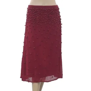 Hoss Intropia Anthropologie Embroidered Beads Skirt High Waisted S-36 NWT