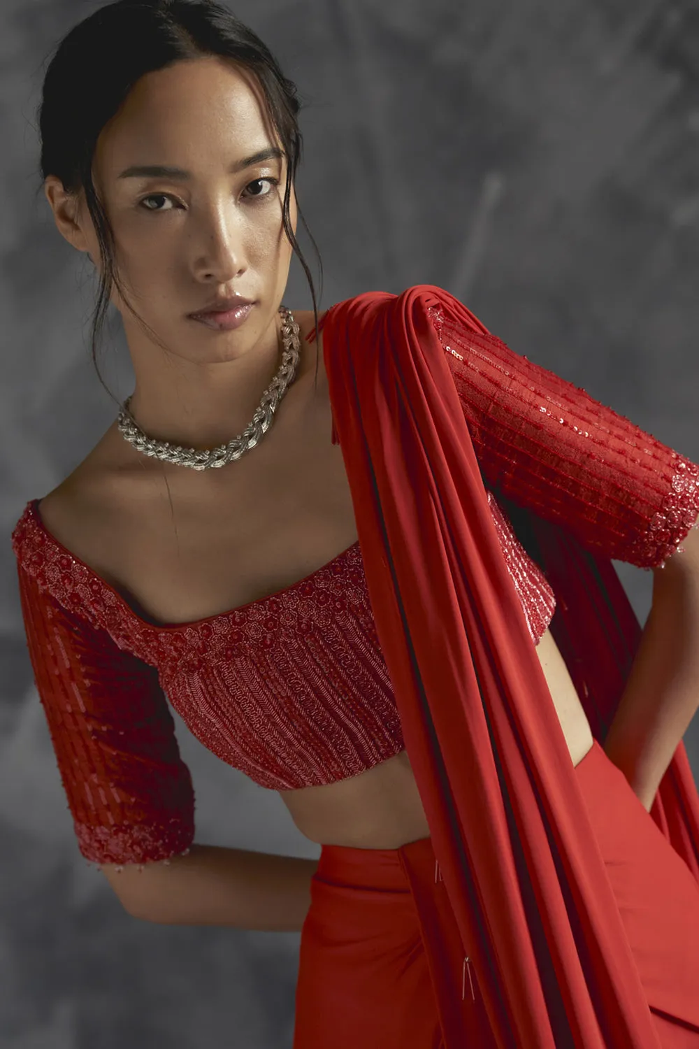 Pleated Draped Skirt With Embelished Elbow Sleeve Blouse