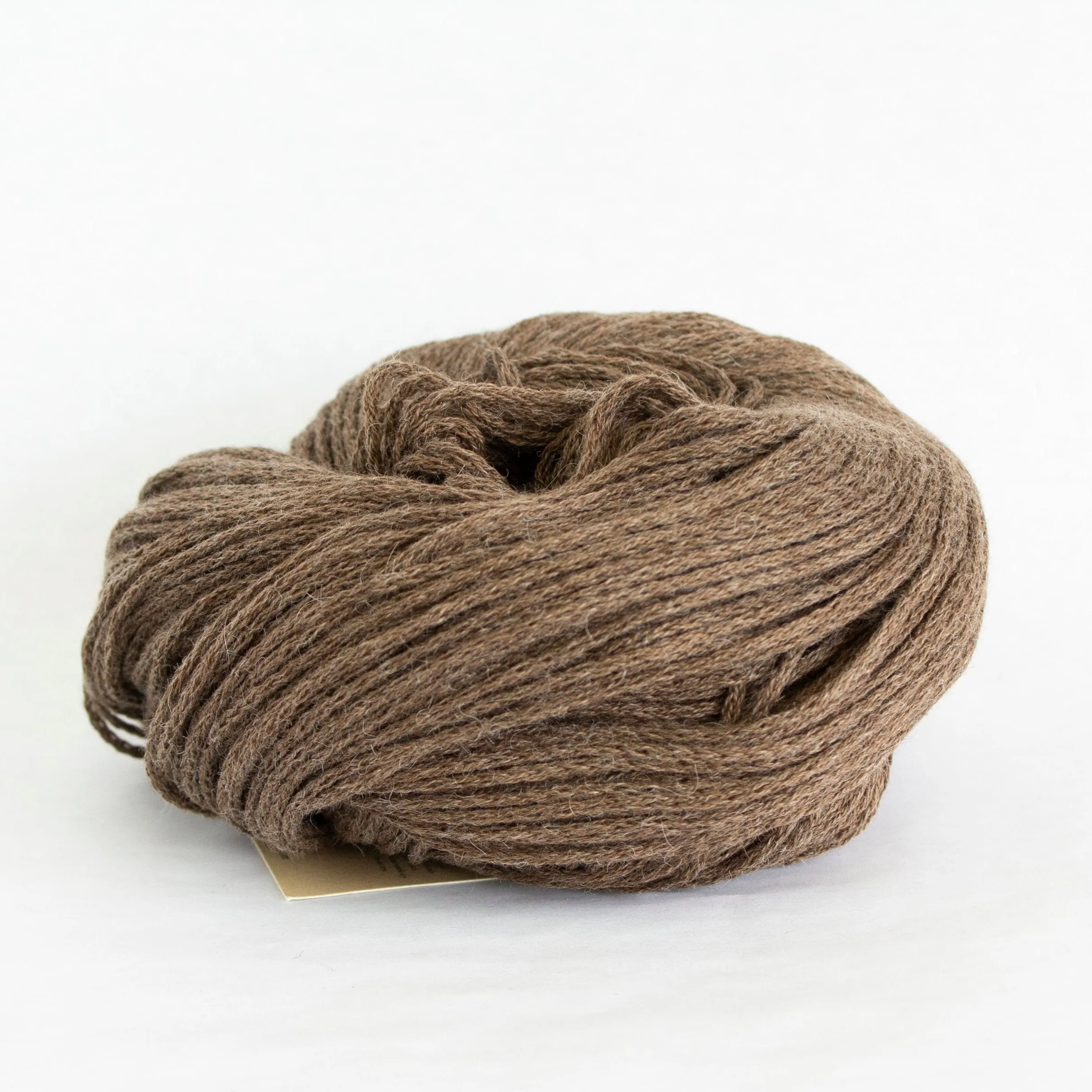 Susan Shell Kit