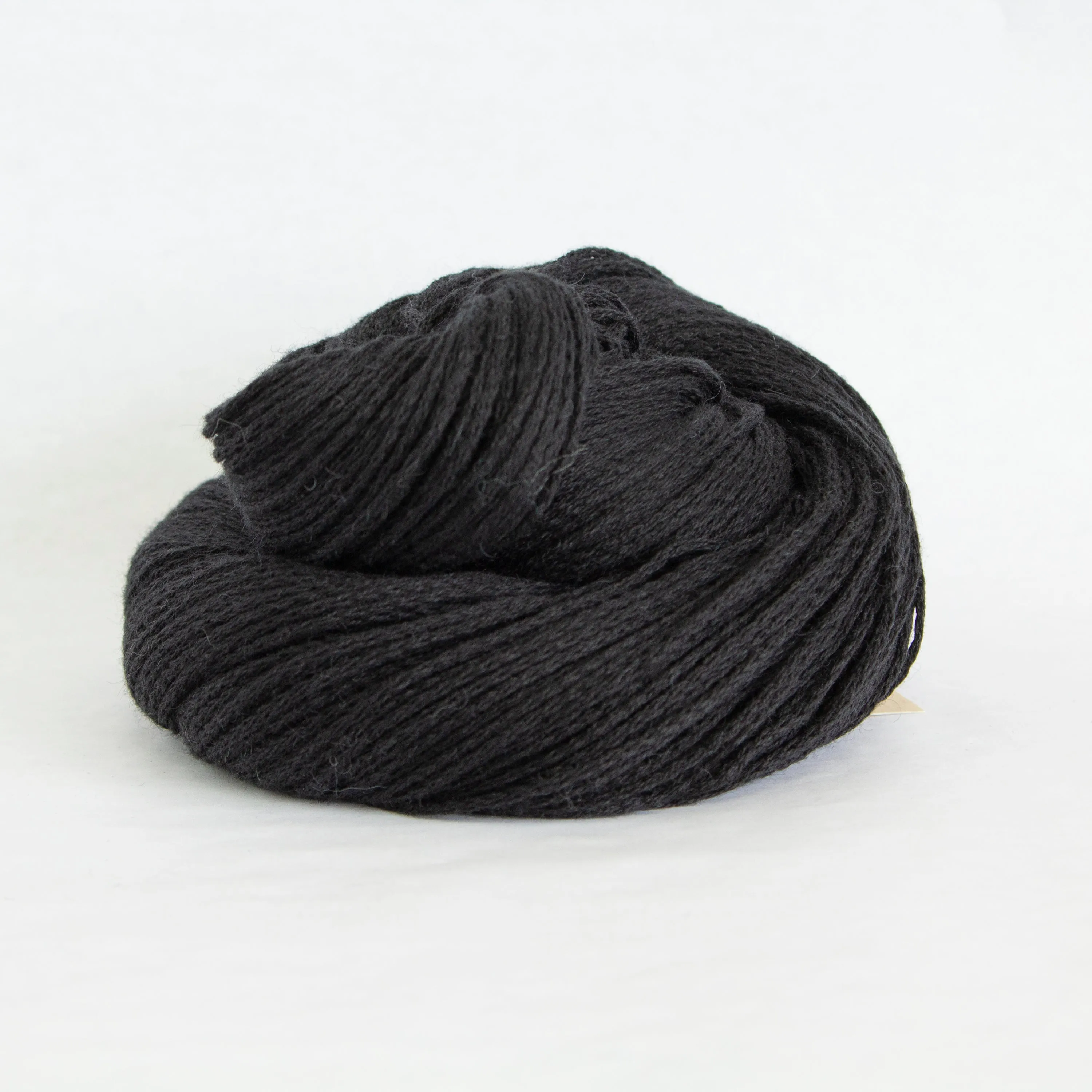 Susan Shell Kit