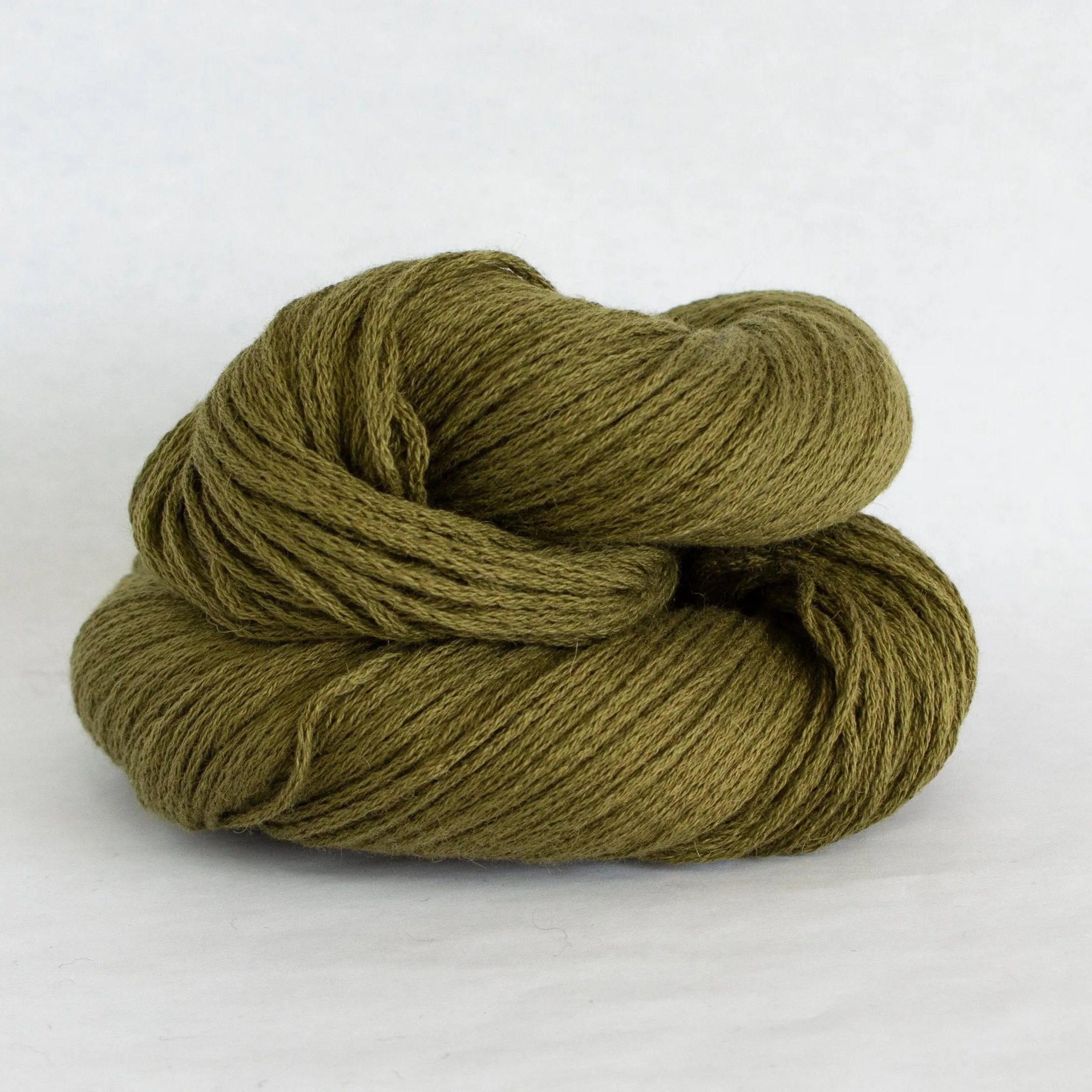 Susan Shell Kit