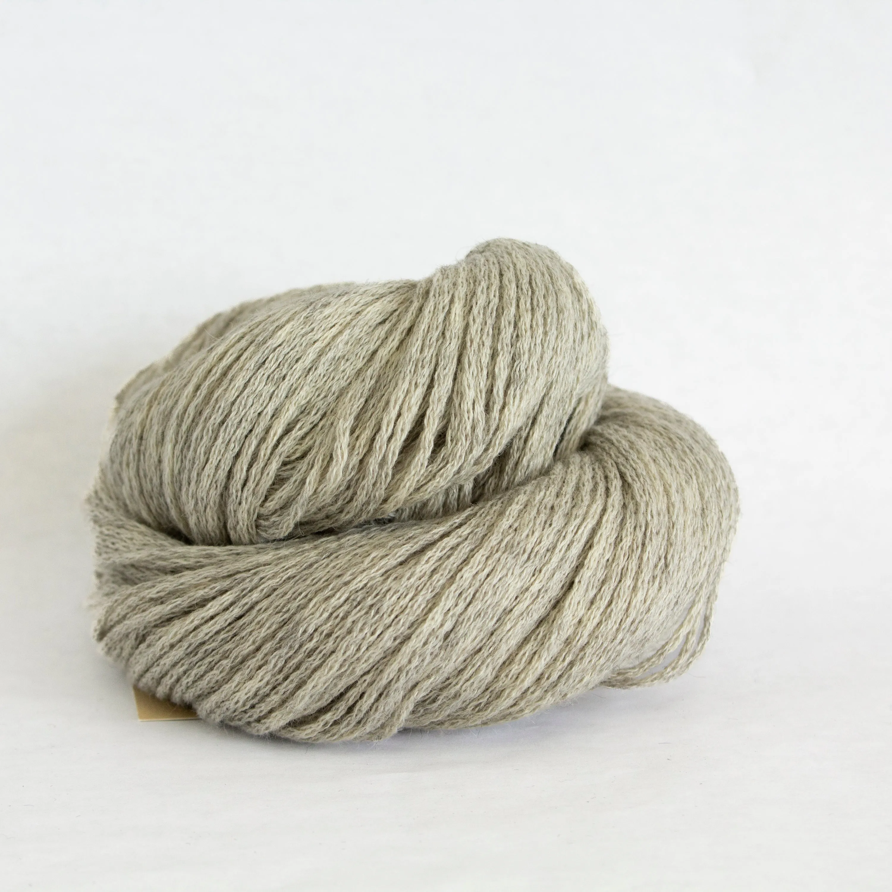 Susan Shell Kit