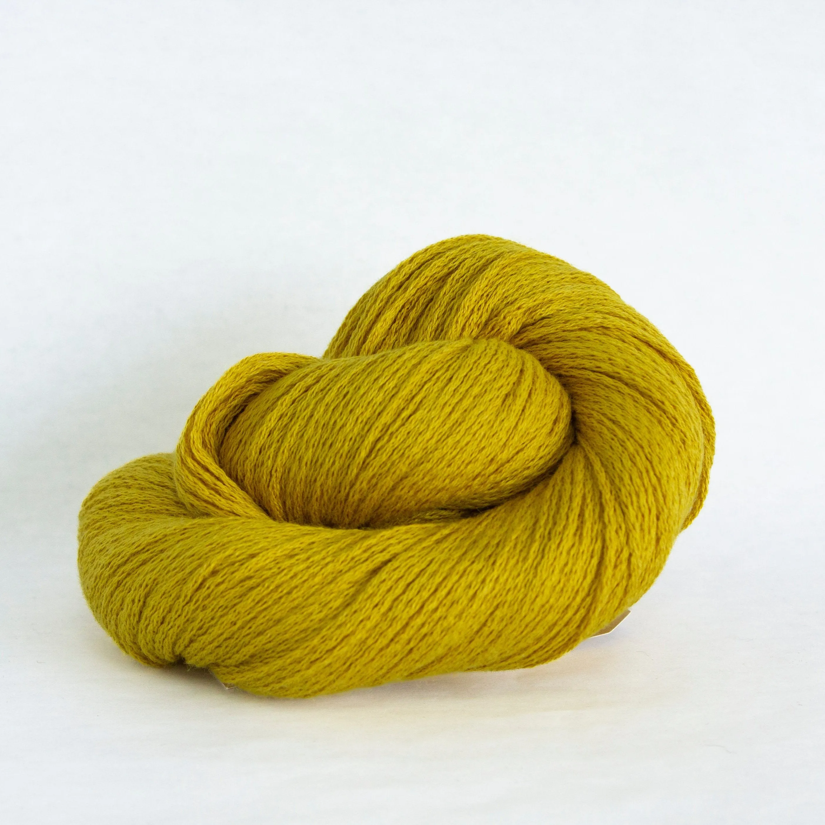 Susan Shell Kit