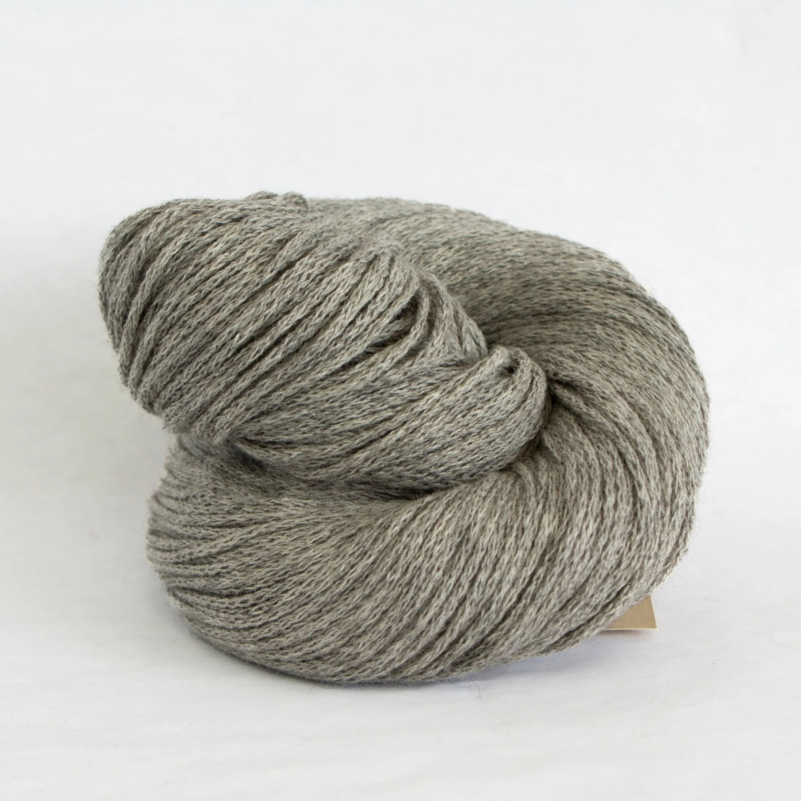 Susan Shell Kit