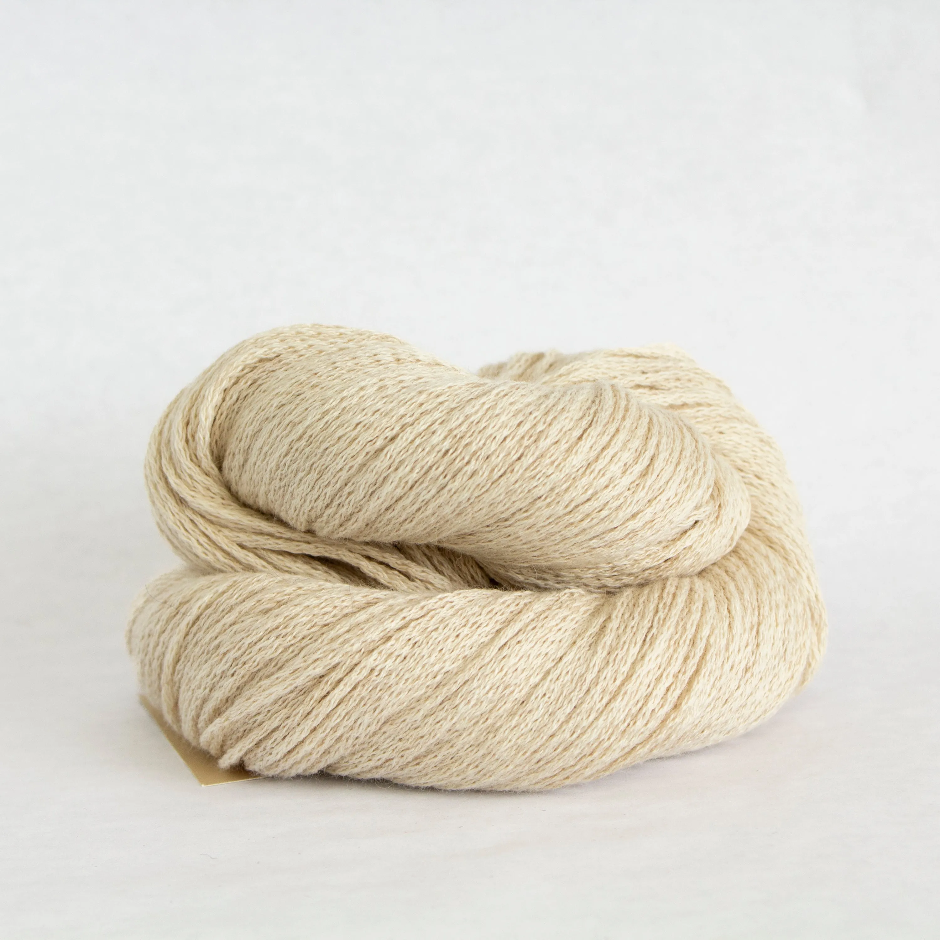 Susan Shell Kit