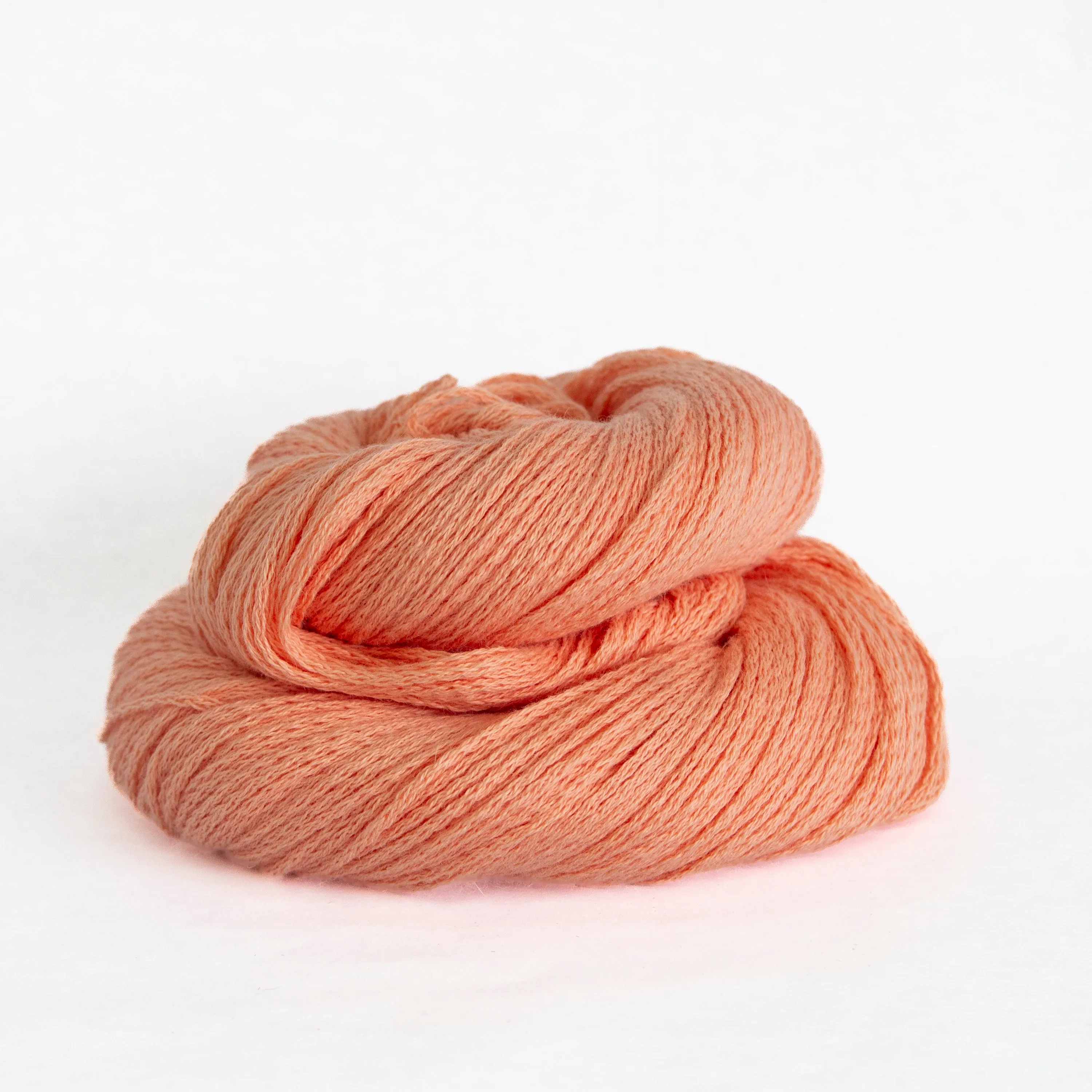 Susan Shell Kit