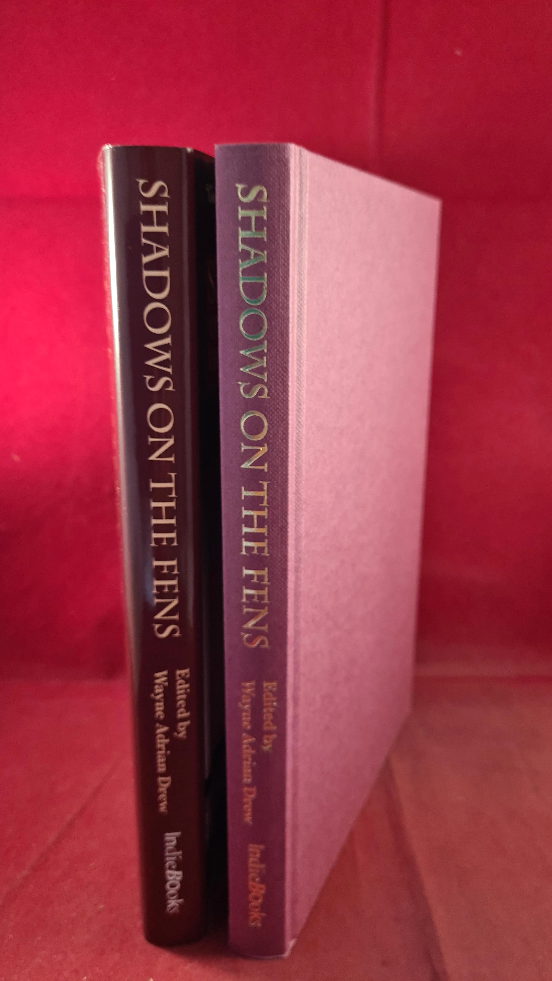Wayne Adrian Drew - Shadows on The Fens, Indie Books, 2016