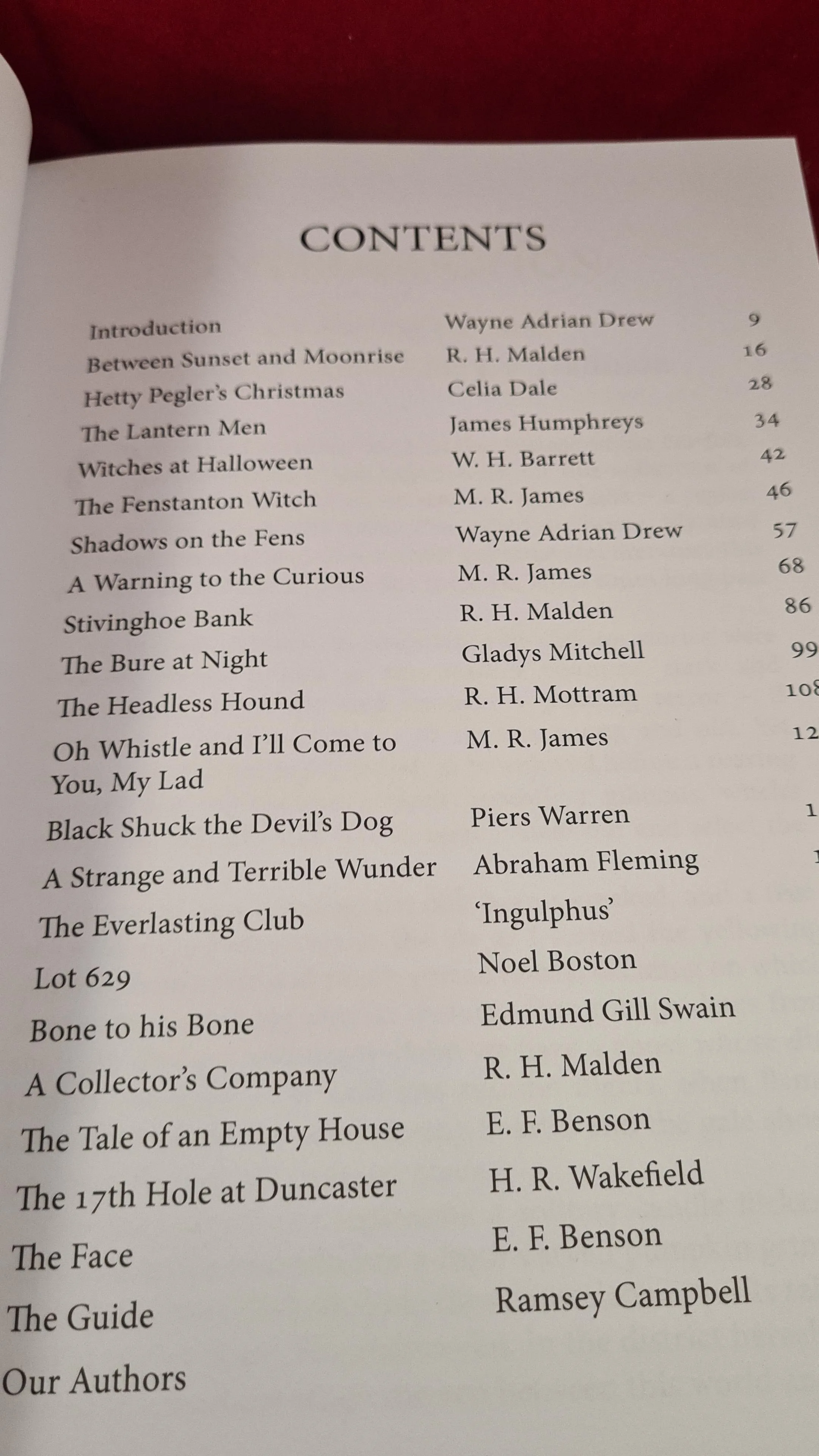 Wayne Adrian Drew - Shadows on The Fens, Indie Books, 2016